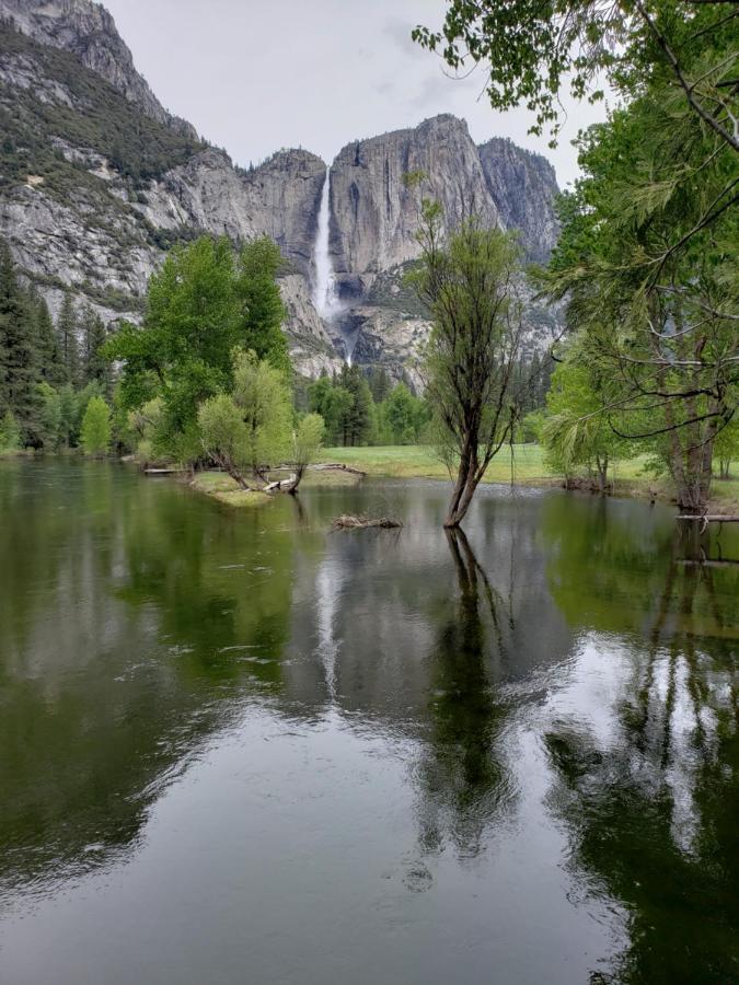 Yosemite Foothill Retreat Hotell Coarsegold Exteriör bild