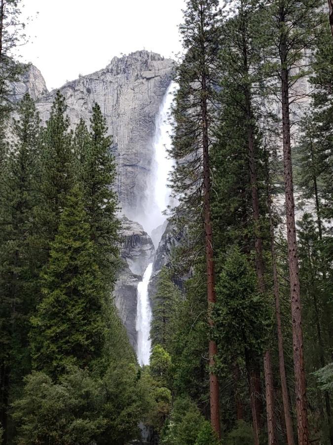Yosemite Foothill Retreat Hotell Coarsegold Exteriör bild