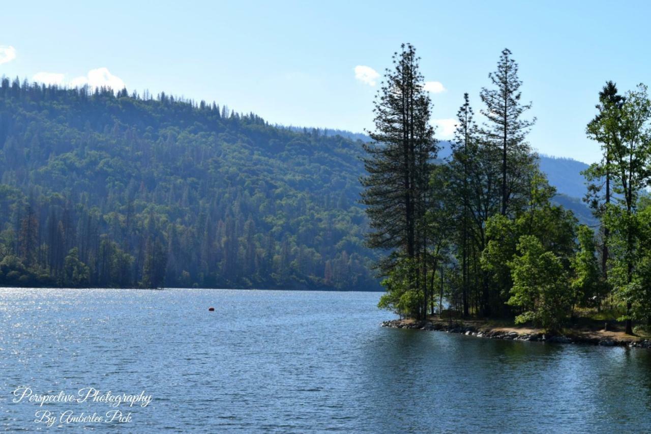 Yosemite Foothill Retreat Hotell Coarsegold Exteriör bild